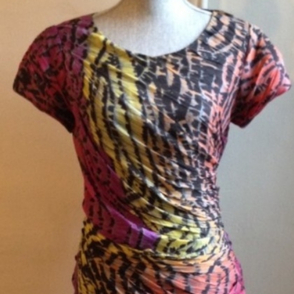Dvf Erosa Multi Color Rainbow Zebra Zip dress Sz 2 - Picture 8 of 8
